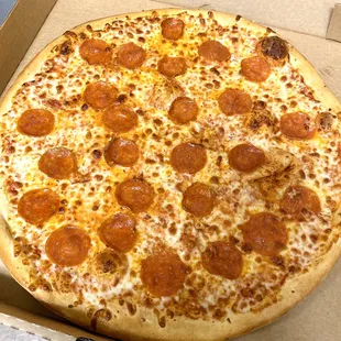 Any size cheese pizza with one FREE topping