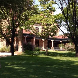 Beautiful shaded lawn