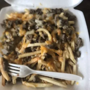 Kearny Asada fries