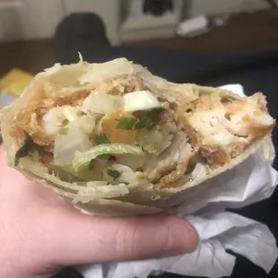 Fish Burrito