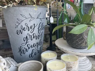 Feather Your Nest