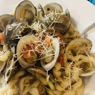 a plate of pasta with clams and clams