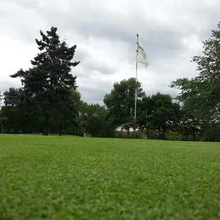 Rolling hills, flowering trees, and views of Lake Zimmerman