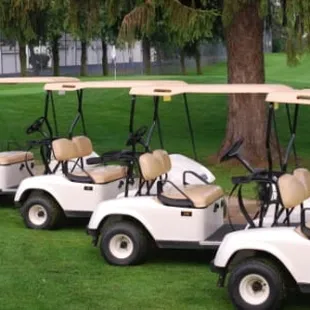 We have riding carts available for rent.