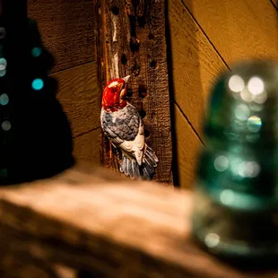 These photos were taken by Jim Cormier on Saturday 11-05-2022.