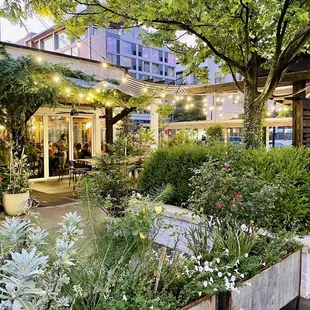 Outdoor garden/patio