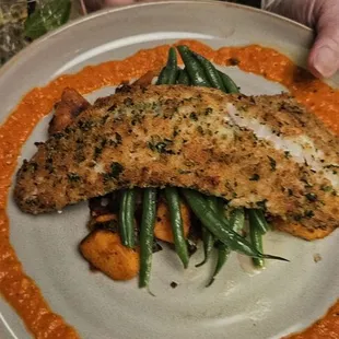 Walleye