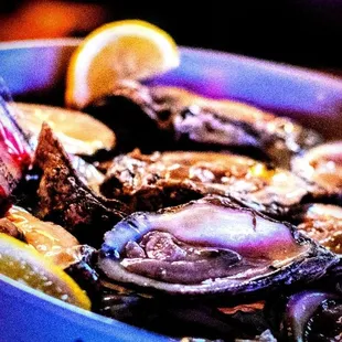 Raw Oysters.