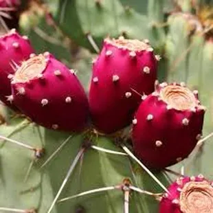 For our scratch-made prickly pear jam