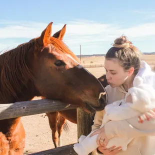 Guest introduces baby to horses