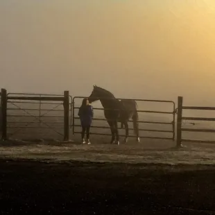Saying good bye to horse on last day
