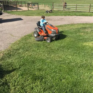 Getting the lawn mowed