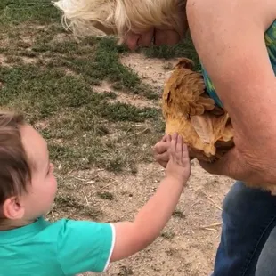 Guest petting the chicken