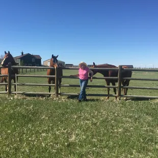 Host with horses, house in background