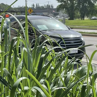 Ford EcoBoost near Rosie's in Carmel.