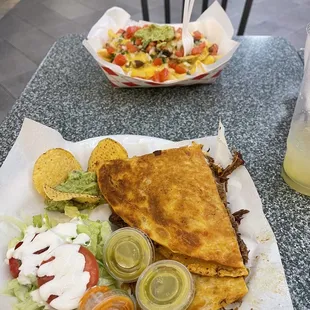 Birria quesadilla and birria fries