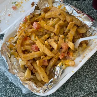 &quot;Carne asada fries&quot;