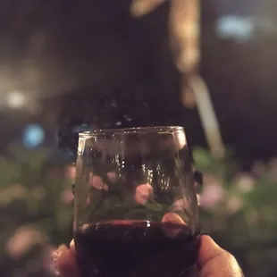 a hand holding a glass of wine