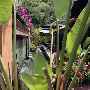 sushi and sashimi, outside