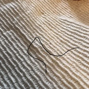 Found this in my pregnant girlfriend&apos;s burrito