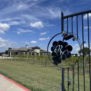 Beautiful gate, grapevines, and building