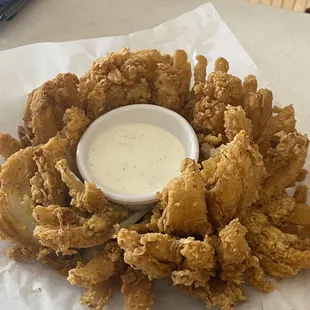 Blooming Onion- very good.