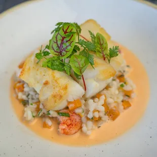 Pan Roasted Cod, Lobster &amp; Squash Risotto