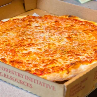 pizza, food