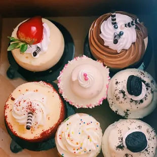 Cheesecakes &amp; cupcakes