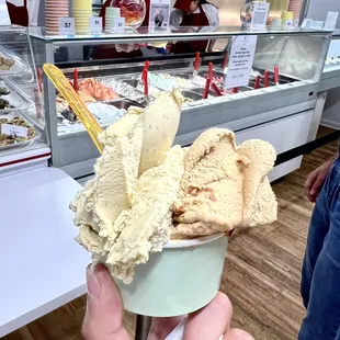 a person holding a cup of gelato