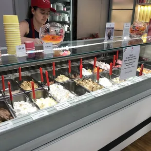 Display case of gelato and sorbet