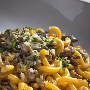 GRAMIGNA SALICCIA
 Creamy Sausage Sauce, Cremini Mushrooms, Cream, Parmigiano