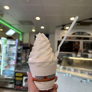 graham cracker cheesecake frozen yogurt (small)