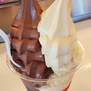 Petite Size, Chocolate Mousse &amp; French Vanilla,  I shared, it was a lot for me.