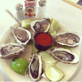 Oysters
