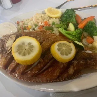 Tilapia