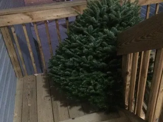 Hughes Road Tree Farm