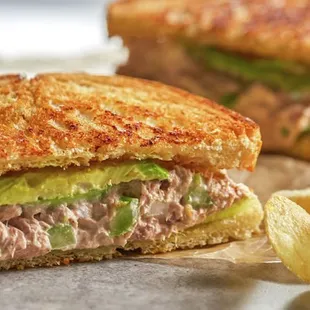 Tuna panini grilled sandwich