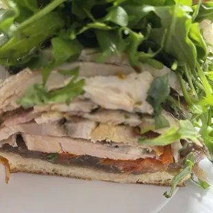 Porchetta Sandwich extra meat $21- amazing