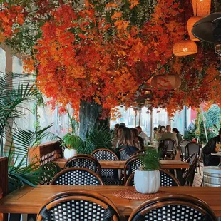 BEAUTIFUL outdoor patio decorations