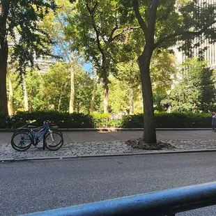 Park views