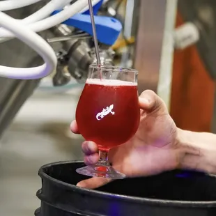 We brew amazing sours! Guava Lamp: Gose w/ Hibiscus &amp; lime zest!