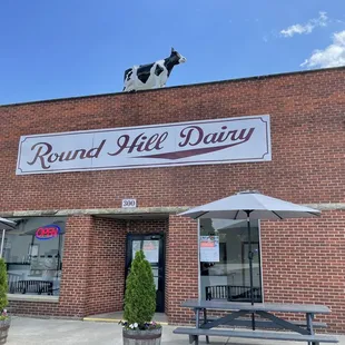 a cow on top of the building