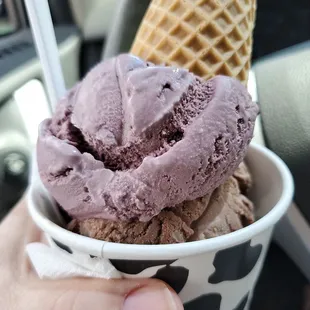 a hand holding a cup of ice cream