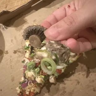 Medium Chicken and Garlic Gourmet Pizza