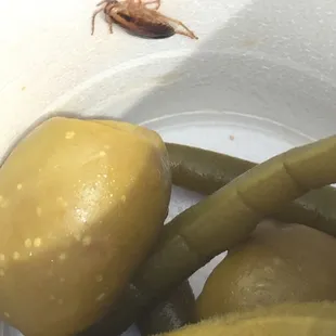 Disgusting! Found a large bug in my Bloody Mary...after I finished drinking it.