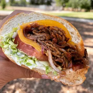 Tri Tip Sandwich