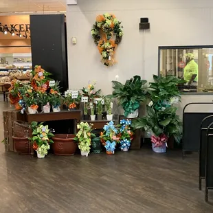 Plants