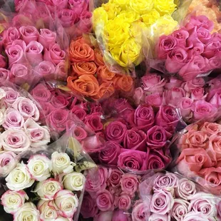 Roses for sale