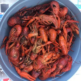 Crawfish